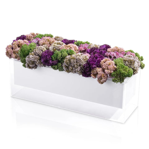 PURPLE SUCCULENT SUSPENDED FLOWER ARRANGEMENT
